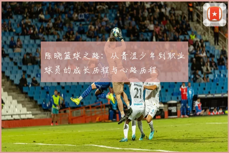 陈晓篮球之路：从青涩少年到职业球员的成长历程与心路历程