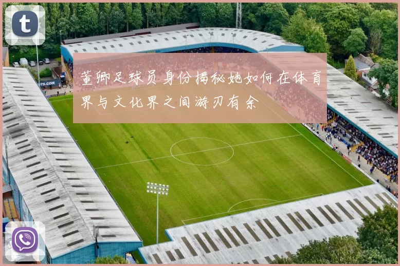董卿足球员身份揭秘她如何在体育界与文化界之间游刃有余