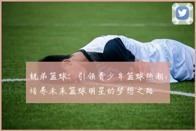 锐弟篮球：引领青少年篮球热潮，培养未来篮球明星的梦想之路