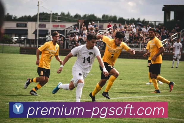 PG电子游戏模拟器平台生态图